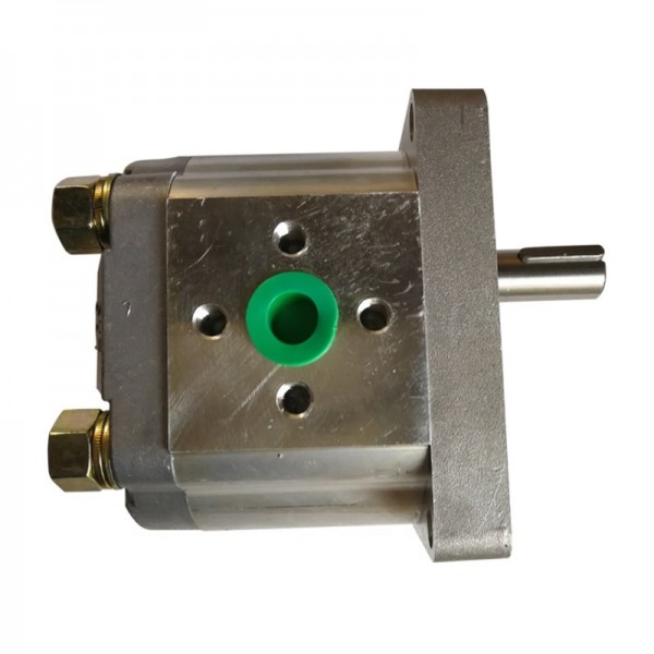 CBN-F304