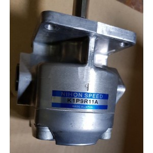 K1P9R11A